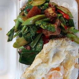 ข้าวราดผัดคะน้า