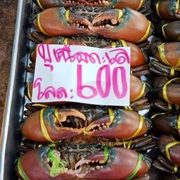 ปูทะเล ปูไข่แน่นๆปูดองน้ำปลา