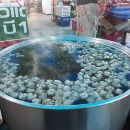 ป้าป้อม ต้มเลือดหมู ตลาด น.สายชล