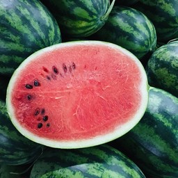 ทรัพย์พิกุลเงิน แตงโม ผลไม้สด ตลาดสี่มุมเมือง