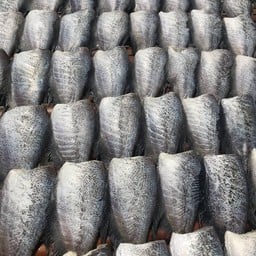 บ้านปลาสลิด