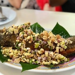 ปลาช่อนลุยทุ่ง.