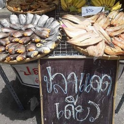 สุกัญญา ปลาช่อน ปลาสลิด ปลาดุก