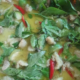 ป้าน้อย ต้นมะม่วง จรัญสนิทวงศ์ 25