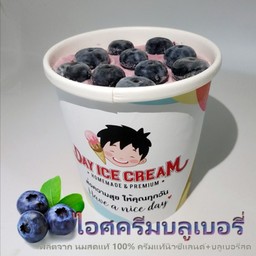 ไอศครีมบลูเบอร์รี่นมสด