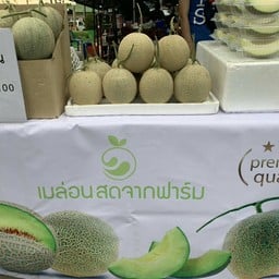 เมล่อน
