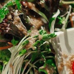 Tofu Salad