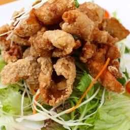 Torikawa Salad