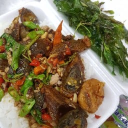 ข้าวราดกระเพราไข่เยี่ยวม้า