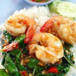 ผัดกระเพรากุ้ง ราดข้าว