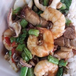 กะเพรารวมมิตร