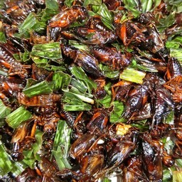 จิ้งหรีดทอด (ใหญ่)