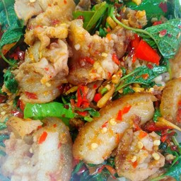 ผัดเผ็ดหมูป่า