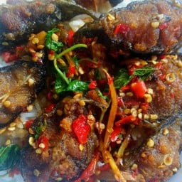 กะเพราปลาดุกกรอบ