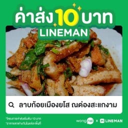 ลาบก้อยเมืองยโส ณด่องสะแกงาม