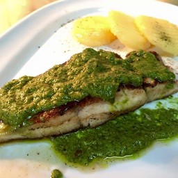 Grilled barramundi w pesto sauce