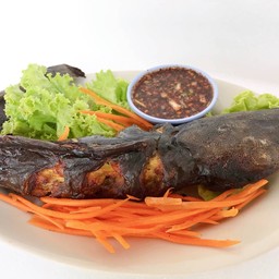 Grilled Catfish