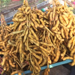 ถั่วแระ