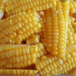 ข้าวโพด
