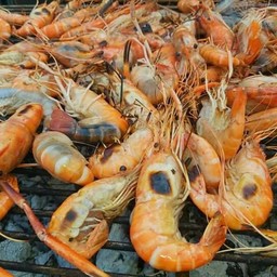 กุ้งเผา มาดาม