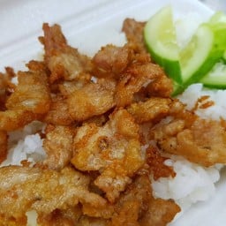 ข้าวราดหมูทอดกระเทียมพริกไท