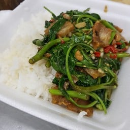 ข้าวราดผัดผักบุ้ง