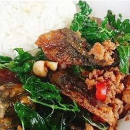 ไข่เยี่ยวม้ากะเพรากรอบราดข้าว