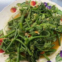 ผัดยอดมะระไฟแดง