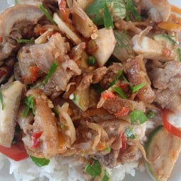 ผัดเผ็ดหมูป่าราดข้าว