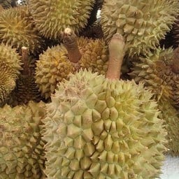ผลไม้