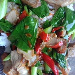 ครัว มา-ดู อ่าวอุดม