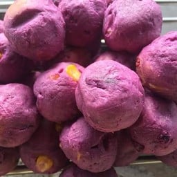 แอนมันทิพย์