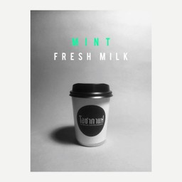 Mint Fresh milk - ร้อน