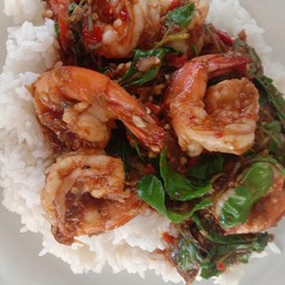 กระเพรากุ้ง