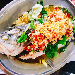 E08-ปลากะพงนึ่งมะนาว
