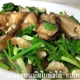ปลาช่อนผัดใบตังโอ๋