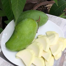 มะม่วงเปรี้ยว (มันเดือนเก้า) - กรอบ เปรี้ยว