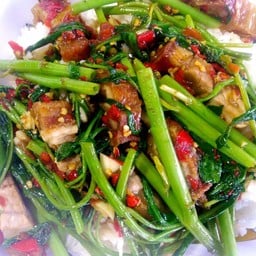 ผักบุ้งไฟแดงหมูกรอบ