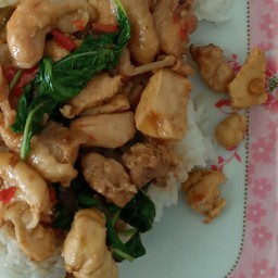 ผัดกะเพราไก่ราดข้าว