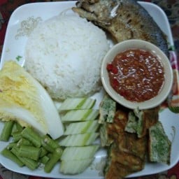 ร้านครัวต้นไทร ตามสั่ง107