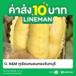 N&M ทุเรียนหมอนทองจันทบุรี (0970600302)