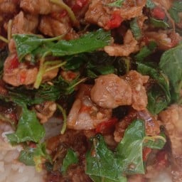 ผัดกระเพราเก้ง