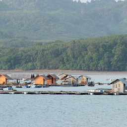 Lobster Farming