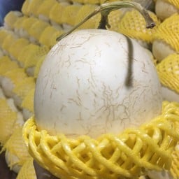 Mr.แคนตาลูป (byเจ๊บ๊วยแคนตาลูป)