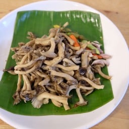 หมกเห็ดขอนขาว