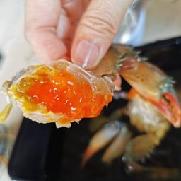 ปูไข่สดๆ ดองน้ำปลากวนสูตรลับไม่เหมือนใคร