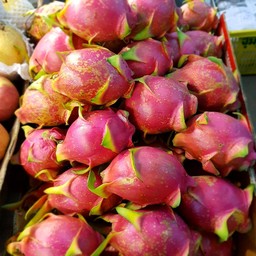 แก้วมังกร