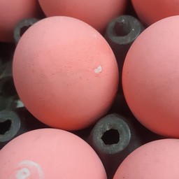 ไข่เหยี่ยวม้า