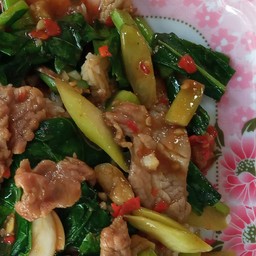 ผัดเนื้อคะน้าน้ำมันหอยราดข้าว