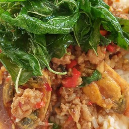 ผัดกะเพราหมูสับไข่เยี่ยวม้าราดข้าว